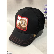 Бейсболка летняя DP-3629 Бейсболка летняя DP-3629