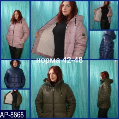 Лыжный костюм AP-8868