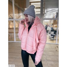 Куртка DL-6615